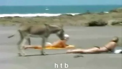 Un uomo di colore ruvido con un grosso bullone penetra una bionda formosa. film porno gratis e