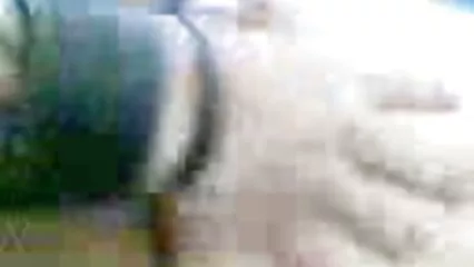 Lo stallone appassionato ha video casalinghi hard finito il pompino sul viso.