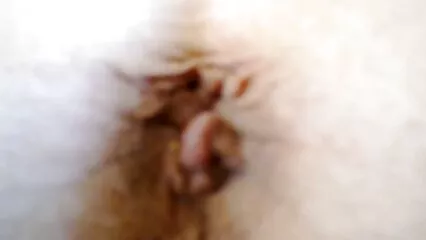 Un ragazzo carino scopa efficacemente tettone video hard una troia con un berretto.
