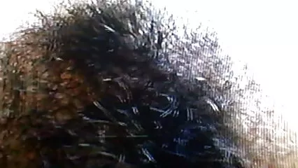 Scopata film hard gratis con animali rapidamente una ragazza senza problemi nel culo.